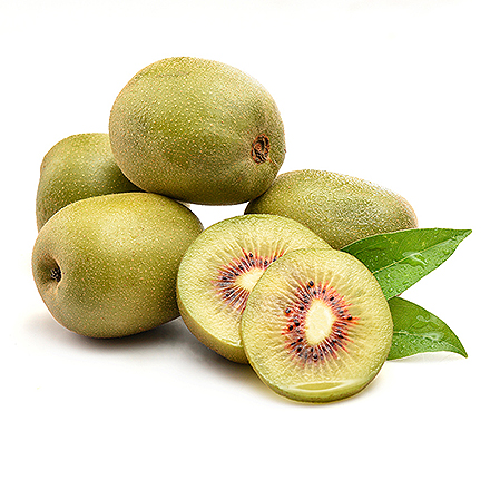 九游娱乐官方网站产品中心八